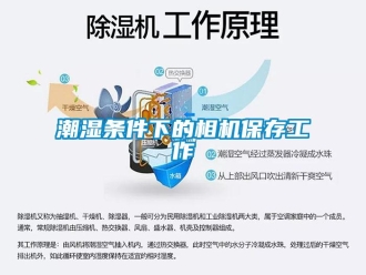 企业新闻潮湿条件下的相机保存工作