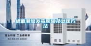 墙面潮湿发霉原因及处理方法