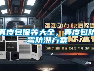 常见问题真皮包保养大全，真皮包防霉防潮方案