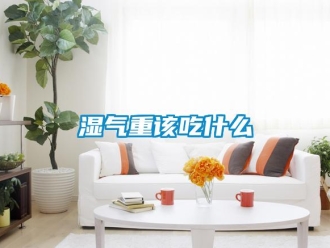 知识百科湿气重该吃什么