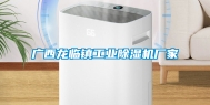 广西龙临镇工业除湿机厂家