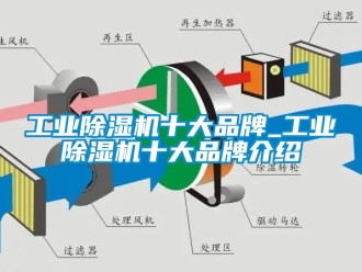 常见问题工业除湿机十大品牌_工业除湿机十大品牌介绍