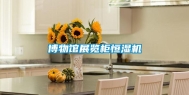 博物馆展览柜恒湿机