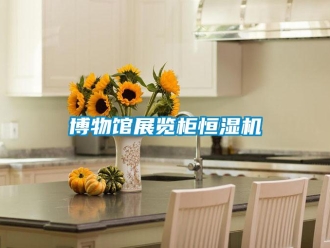 知识百科博物馆展览柜恒湿机