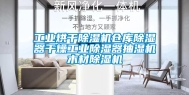 工业烘干除湿机仓库除湿器干燥工业除湿器抽湿机木材除湿机