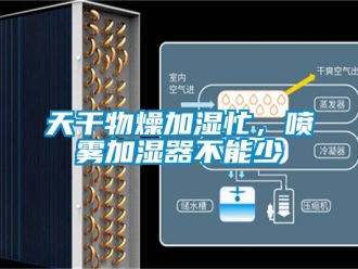 知识百科天干物燥加湿忙，喷雾加湿器不能少
