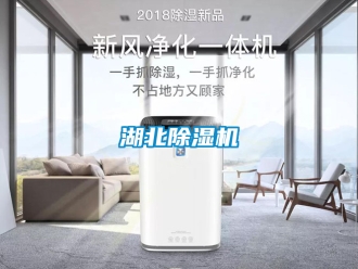 行业新闻湖北除湿机
