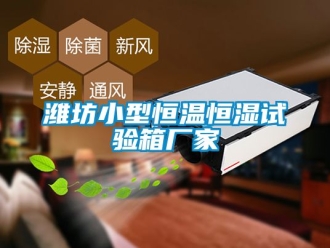 知识百科潍坊小型恒温恒湿试验箱厂家