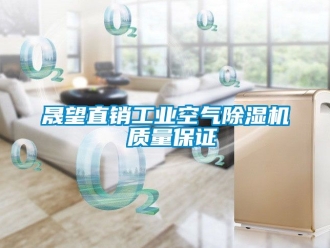 常见问题晟望直销工业空气除湿机 质量保证