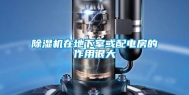 除湿机在地下室或配电房的作用很大