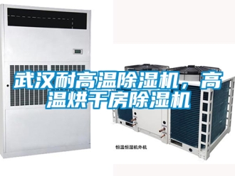 行业新闻武汉耐高温除湿机，高温烘干房除湿机