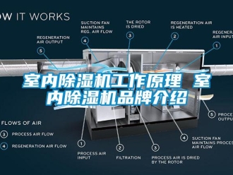 企业新闻室内除湿机工作原理 室内除湿机品牌介绍
