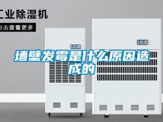 行业新闻墙壁发霉是什么原因造成的