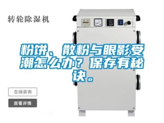 常见问题粉饼、散粉与眼影受潮怎么办？保存有秘诀。