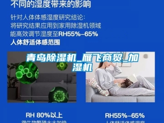 行业新闻青岛除湿机_雁飞商贸_加湿机