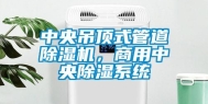 中央吊顶式管道除湿机，商用中央除湿系统