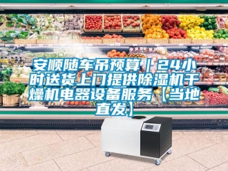 企业新闻安顺随车吊预算｜24小时送货上门提供除湿机干燥机电器设备服务【当地直发】