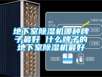 行业新闻地下室除湿机哪种牌子最好 什么牌子的地下室除湿机最好