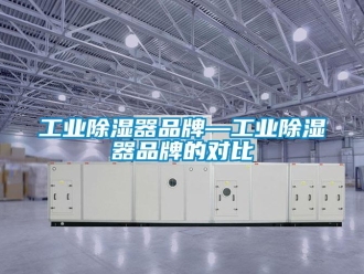 行业新闻工业除湿器品牌—工业除湿器品牌的对比