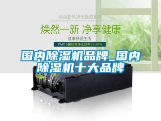 企业新闻国内除湿机品牌_国内除湿机十大品牌