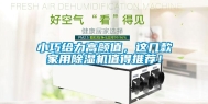 小巧给力高颜值，这几款家用除湿机值得推荐！