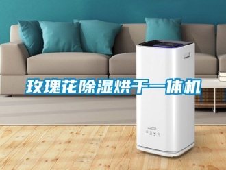行业新闻玫瑰花除湿烘干一体机