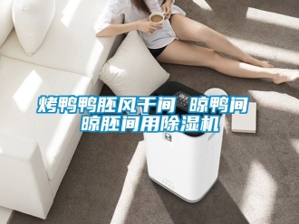 行业新闻烤鸭鸭胚风干间 晾鸭间 晾胚间用除湿机