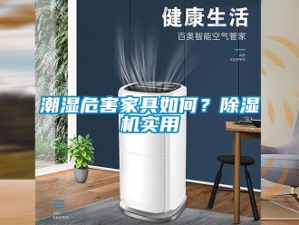 企业新闻潮湿危害家具如何？除湿机实用
