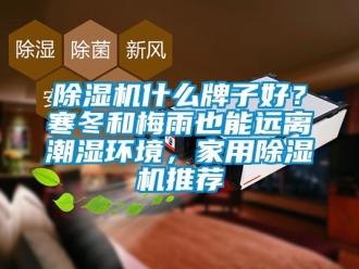 常见问题除湿机什么牌子好？寒冬和梅雨也能远离潮湿环境，家用除湿机推荐