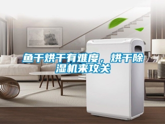 行业新闻鱼干烘干有难度，烘干除湿机来攻关