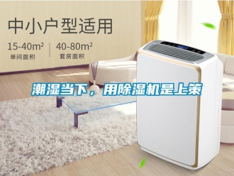 企业新闻潮湿当下，用除湿机是上策