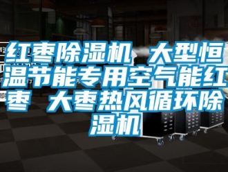 知识百科红枣除湿机 大型恒温节能专用空气能红枣 大枣热风循环除湿机