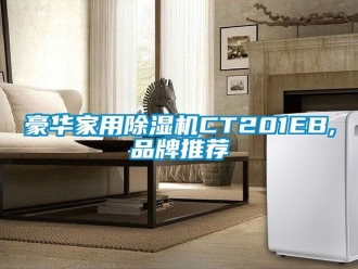 企业新闻豪华家用除湿机CT201EB,品牌推荐