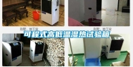 可程式高低温湿热试验箱