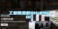 工业除湿机DH-8960C