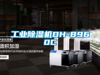 常见问题工业除湿机DH-8960C