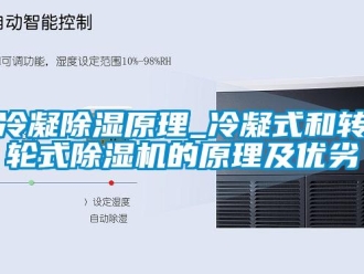 常见问题冷凝除湿原理_冷凝式和转轮式除湿机的原理及优劣