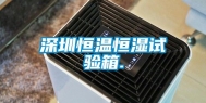 深圳恒温恒湿试验箱.