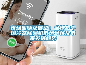 行业新闻市场回顾及展望：全球与中国冷冻除湿机市场现状及未来发展趋势