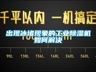 常见问题出现冰堵现象的工业除湿机如何解决