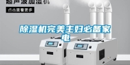 除湿机完美主妇必备家电