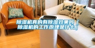 除湿机真的有除湿效果吗（除湿机的工作原理是什么）