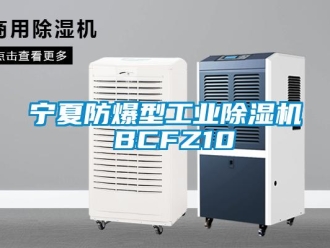 企业新闻宁夏防爆型工业除湿机 BCFZ10