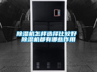 行业新闻除湿机怎样选择比较好 除湿机都有哪些作用