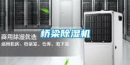 桥梁除湿机