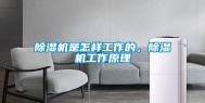 除湿机是怎样工作的，除湿机工作原理