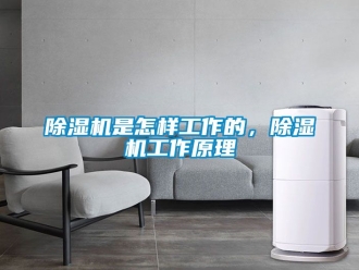 行业新闻除湿机是怎样工作的，除湿机工作原理