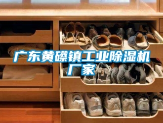 企业新闻广东黄礤镇工业除湿机厂家