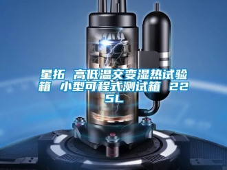 常见问题星拓 高低温交变湿热试验箱 小型可程式测试箱 225L