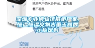 深圳专业博物馆展柜厂家,恒温恒湿文物古董玉器展示柜定制